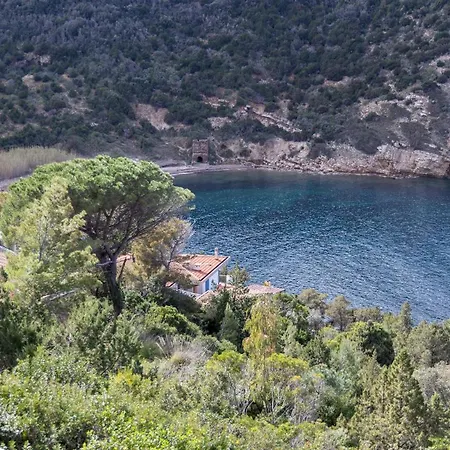 Meraviglia 8, Emma *