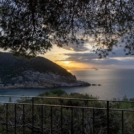 Meraviglia 8, Emma Villa *