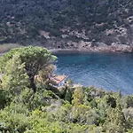 Meraviglia 8, Emma *
